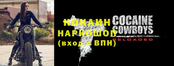 круглые Гусев
