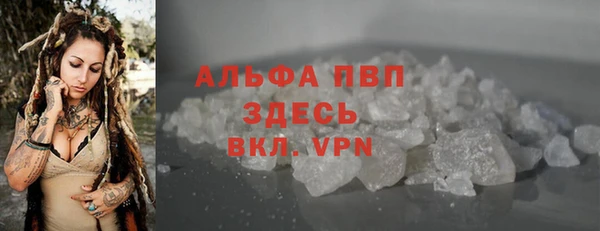 круглые Гусев