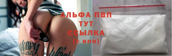 круглые Гусев