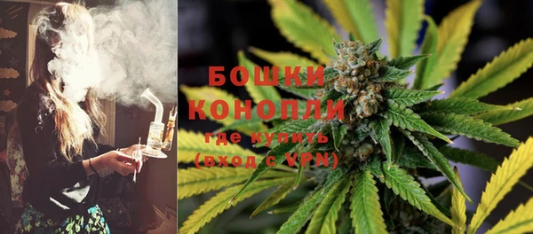 крисы Семилуки