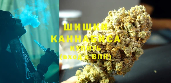 круглые Гусев