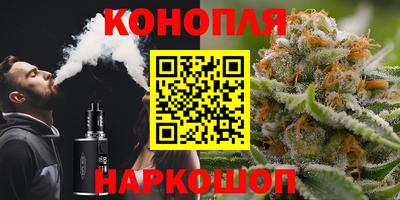бошки Жуковский