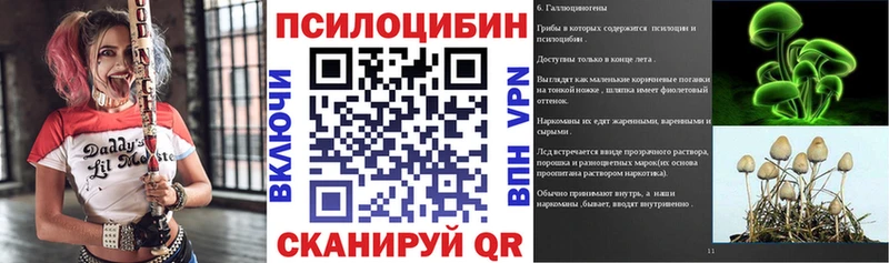 Псилоцибиновые грибы Cubensis  Москва 