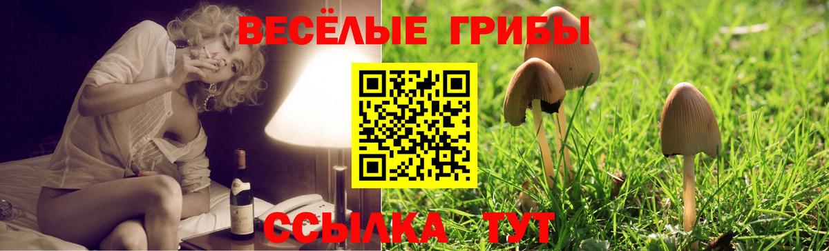 Галлюциногенные грибы MAGIC MUSHROOMS  Вход с VPN  Галлюциногенные грибы MAGIC MUSHROOMS  Москва 