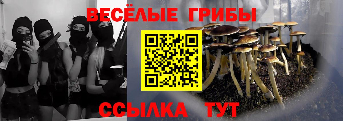 Псилоцибиновые грибы мицелий Москва