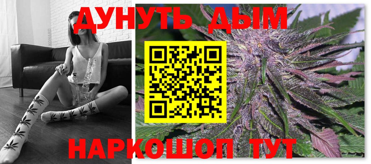 Каннабис сатива Москва